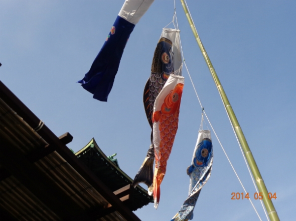 koinobori