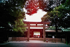 やたらと神社に行くのは