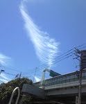 羽雲
