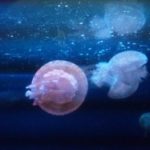 人をボケさせる方法