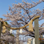 伊勢山皇大神宮