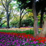 横浜公園