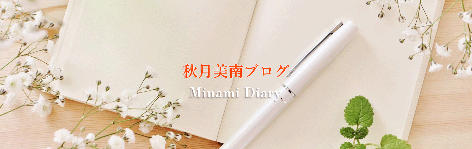 秋月美南ブログ